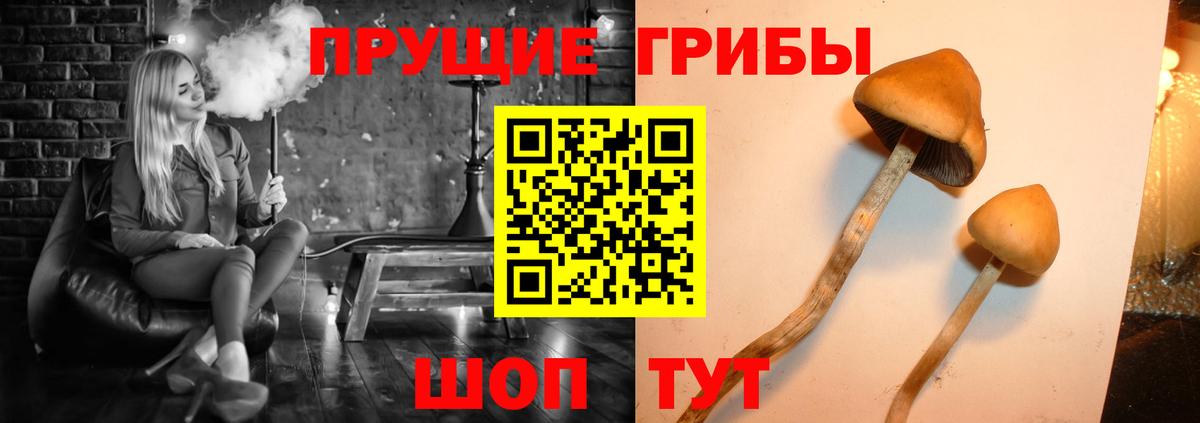 купить закладку  Вход с VPN  Грязи  Галлюциногенные грибы Magic Shrooms 